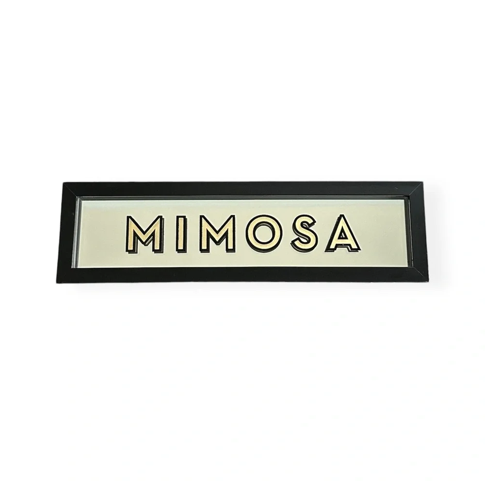 Z Gallerie Mirrored ‘Mimosa’ Framed Wall Art Decorative Home Accent Sign 25x7”